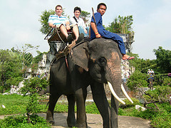 thailand olifanten